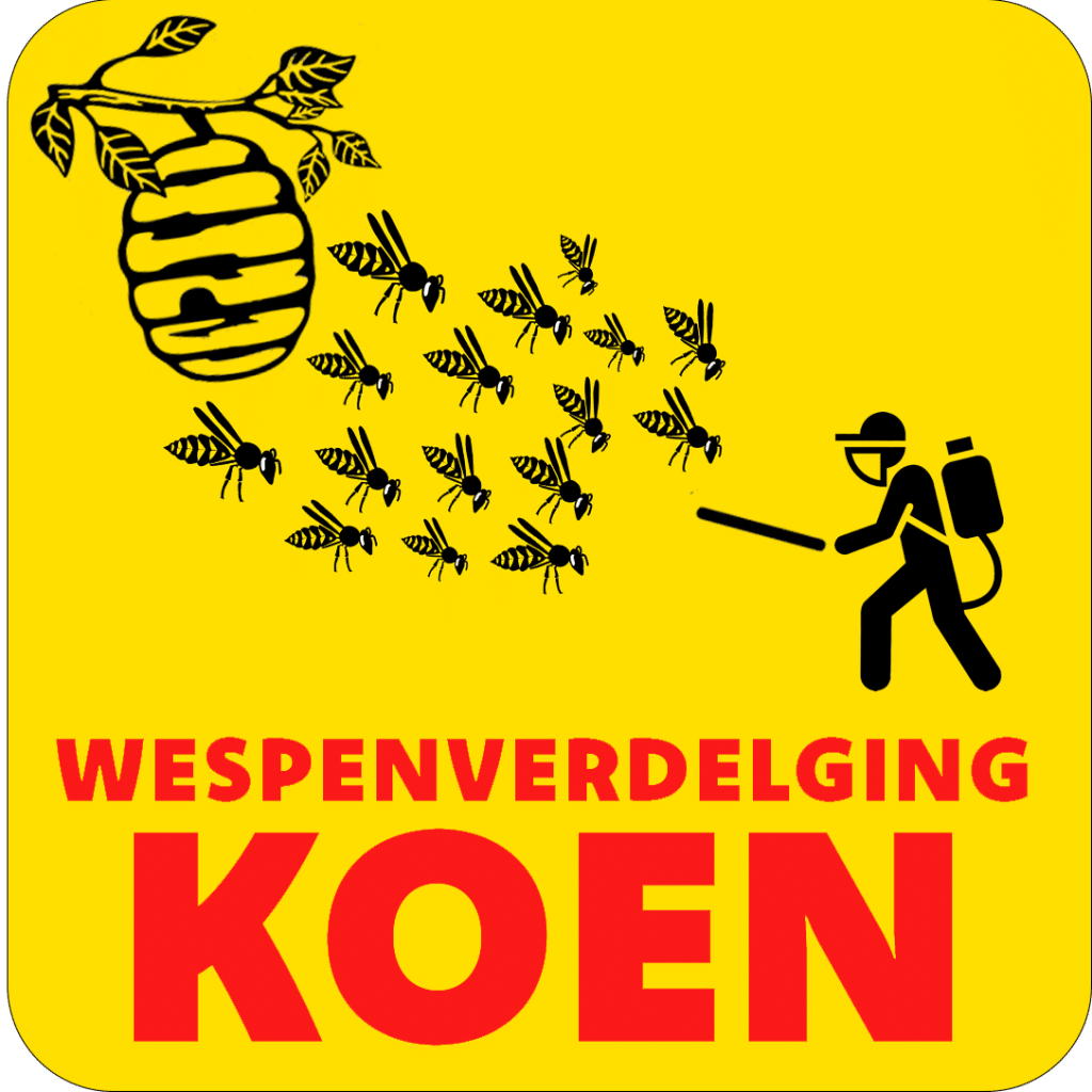 Wespenverdelging Koen